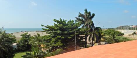 A view of a beach with palm trees and a clear sky.
