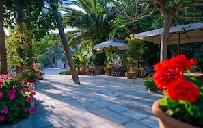 Double Room | Terrace/patio