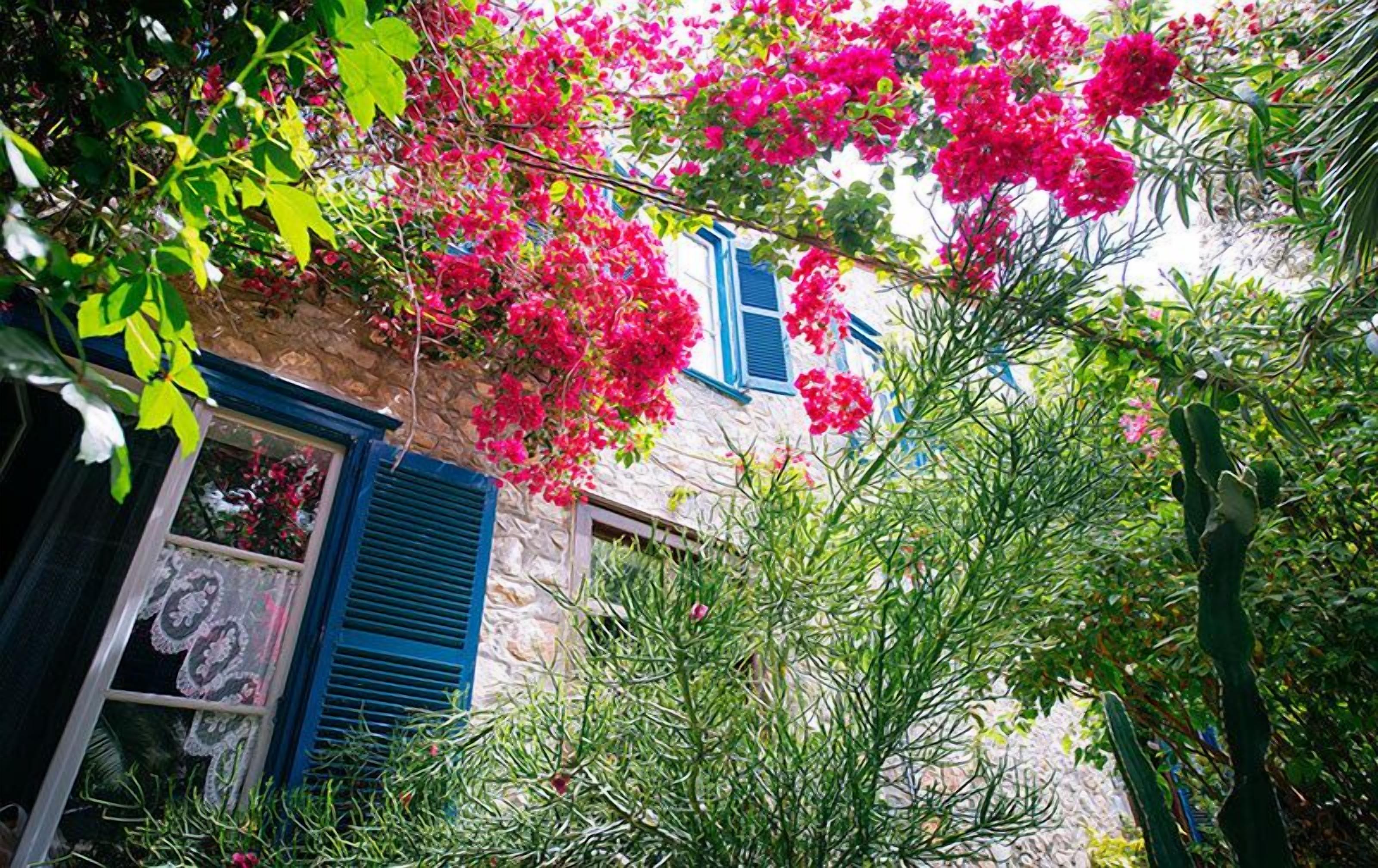 double room | terrace/patio