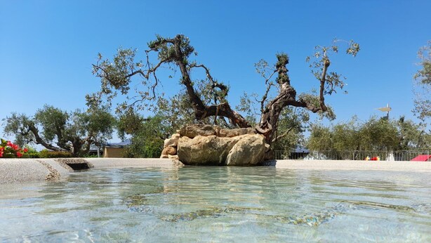 A clear pool with a rocky island in the center, surrounded by trees and a clear sky. - Carlo's Hotel (Castagneto Carducci)