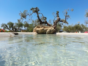 Uma piscina límpida com uma ilhota rochosa no centro, rodeada por árvores e um céu claro.