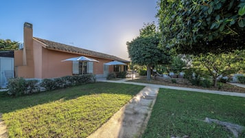 Una casa con entrada pavimentada, césped y un árbol.