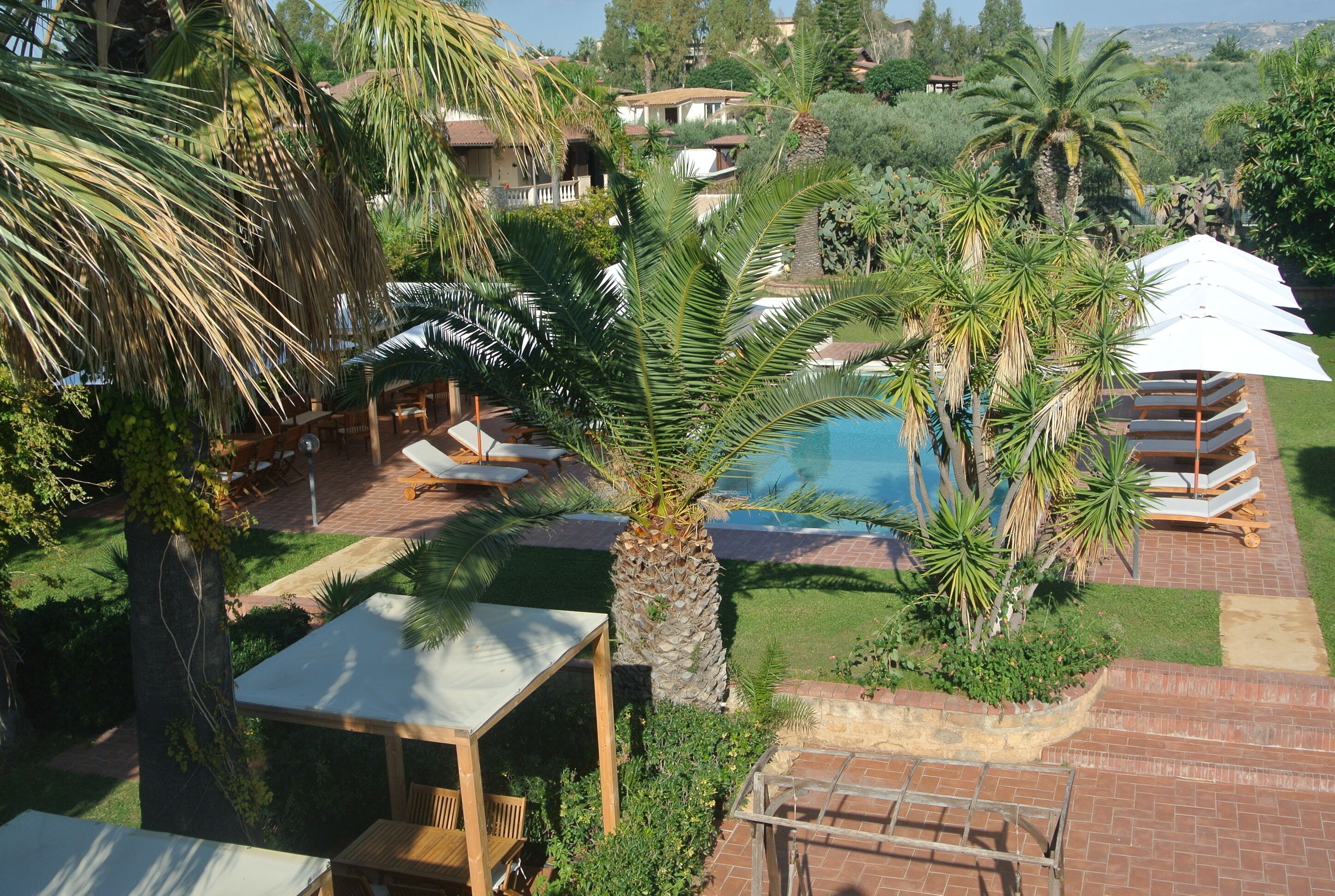Area piscina con lettini, una palma e vista sul paesaggio circostante.