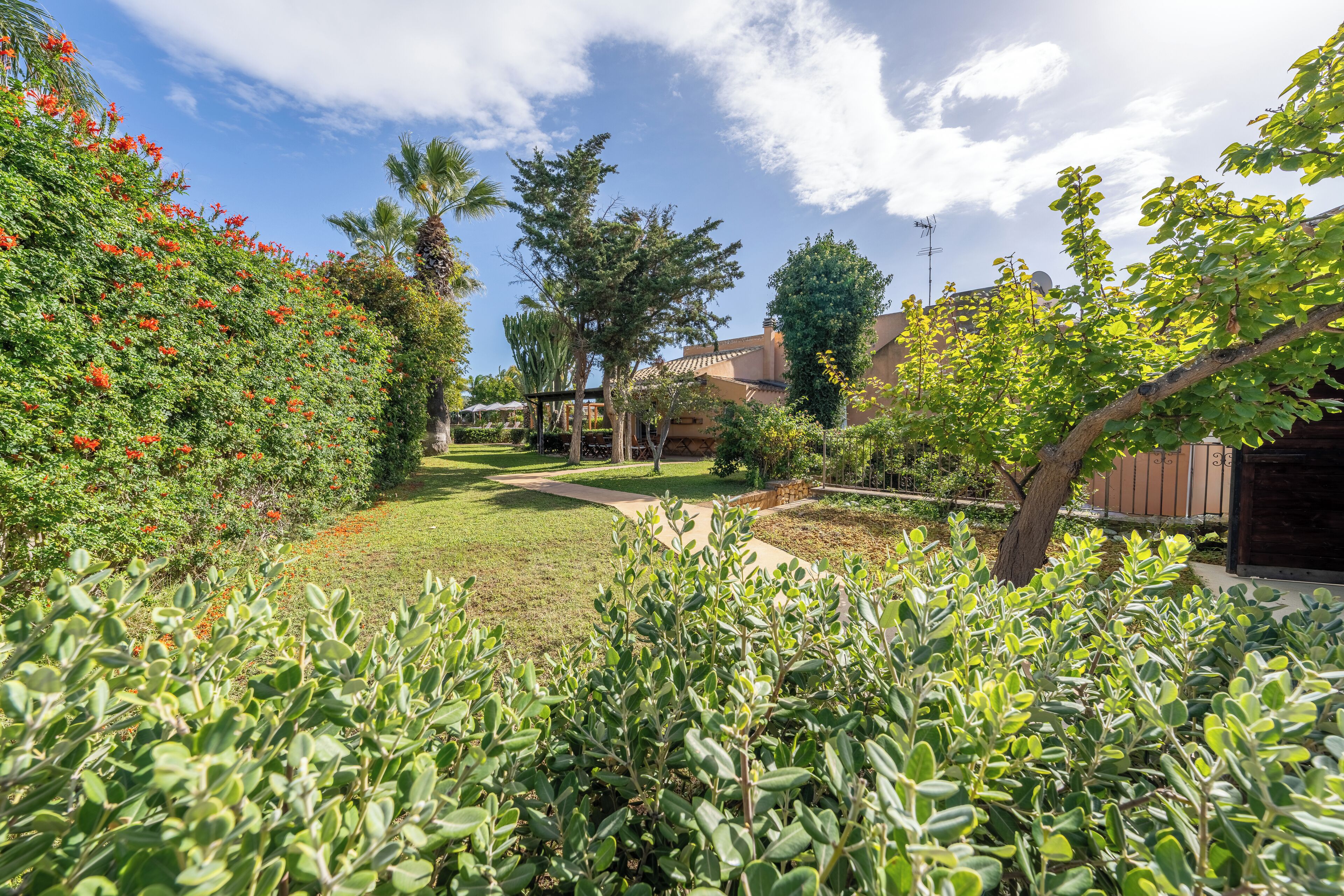 A well-maintained garden with a variety of plants and trees, a clear pathway, and a building in the background.