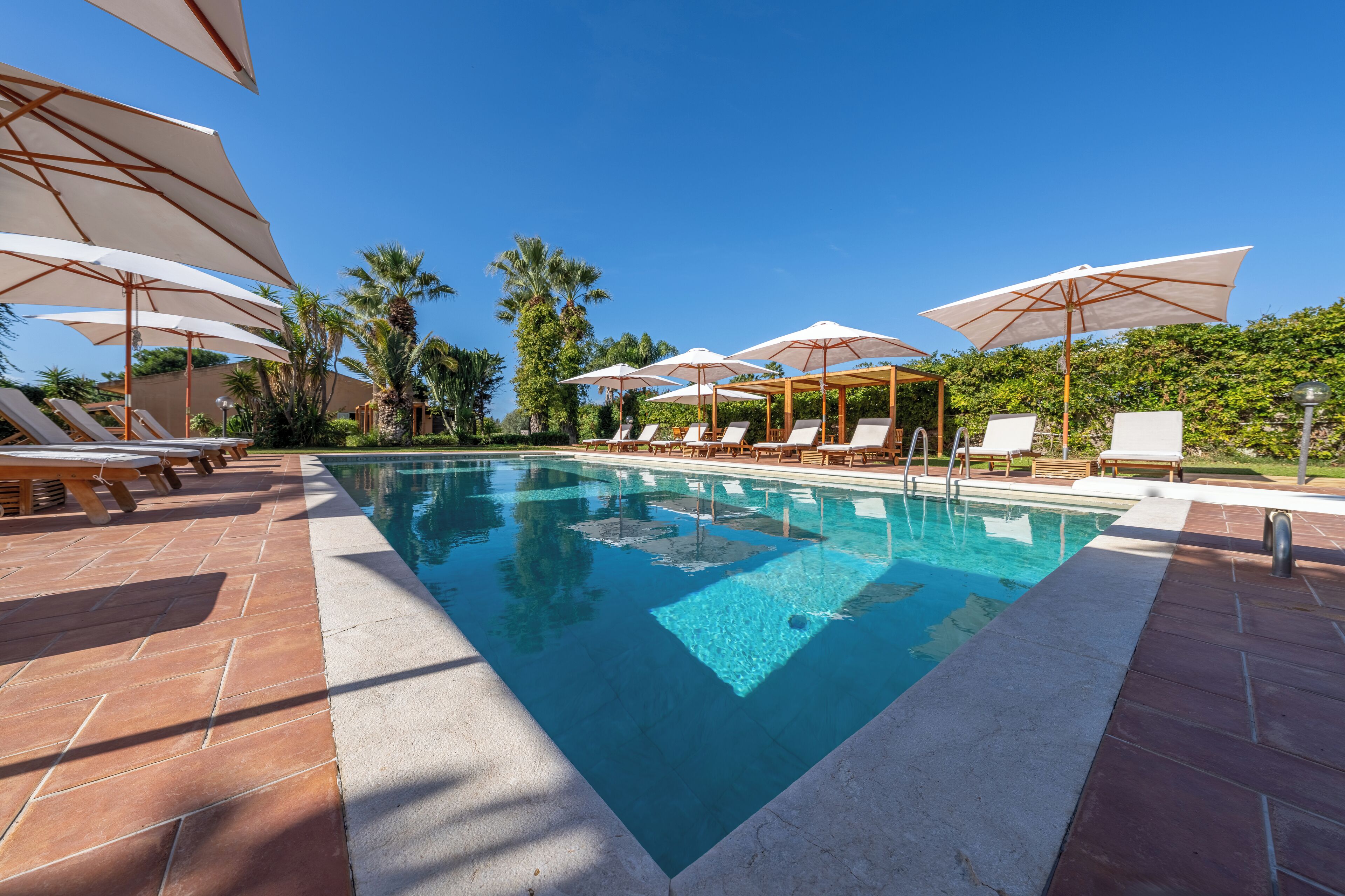 Piscina con sillas de descanso y sombrillas, rodeada de palmeras y un cielo azul despejado.