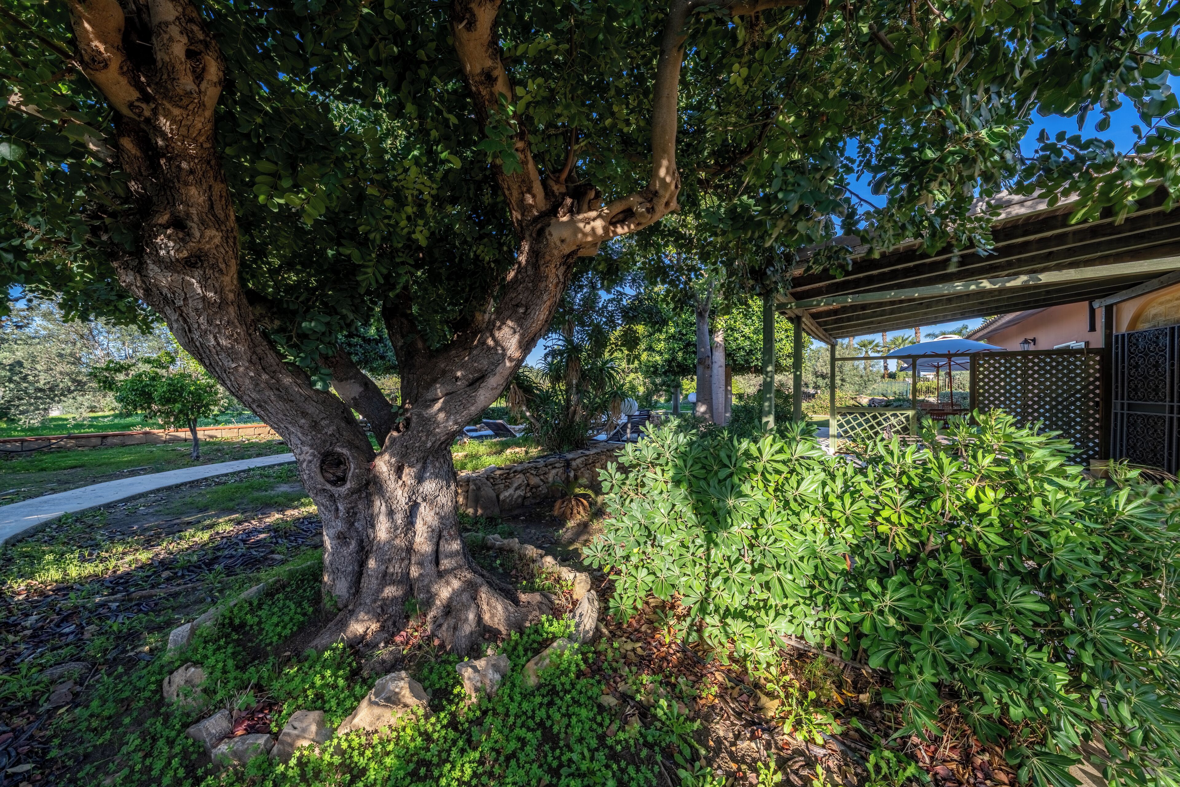 Un grand arbre, un jardin bien entretenu, un chemin pavé et un bâtiment doté d’un patio couvert.