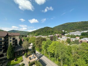 Vue depuis le balcon