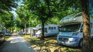 A row of RVs parked along a paved path with trees providing shade.
