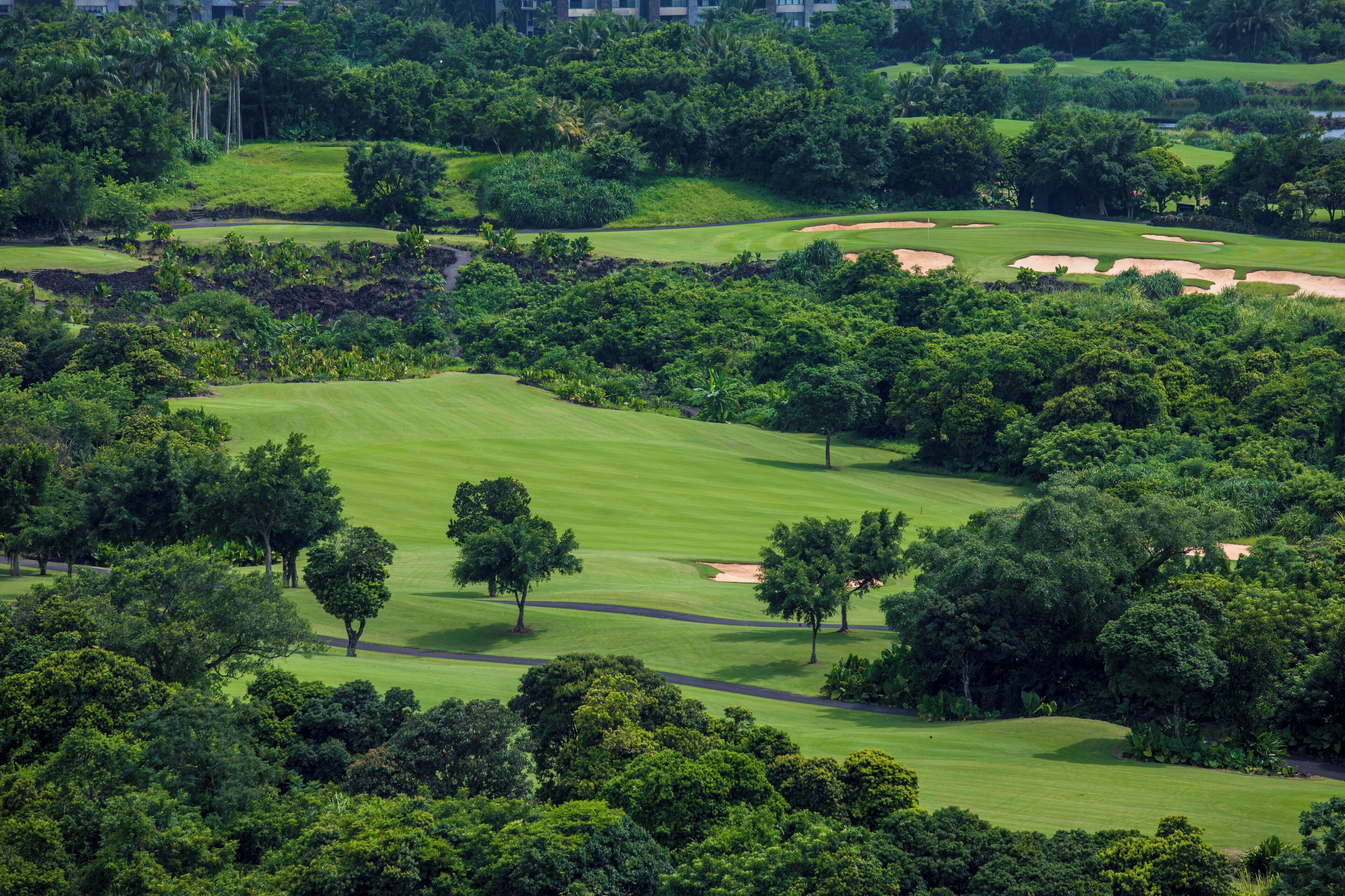 A golf course with lush greenery, sand bunkers, and trees.