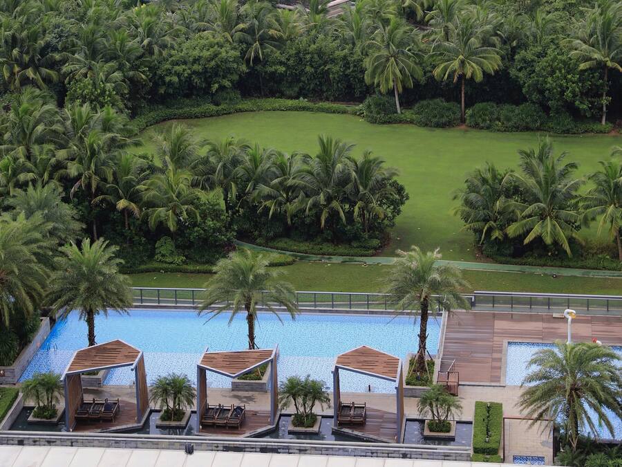 A rooftop pool area with lounge chairs and a view of a lush garden with palm trees.