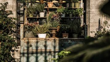 A variety of potted plants arranged on shelves against a stone wall.