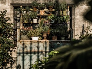 A variety of potted plants arranged on shelves against a stone wall.