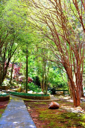 Property grounds - Hotel Moinho de Pedra (Serra Negra)