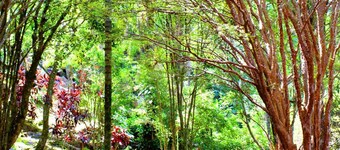 Hotel Moinho de Pedra