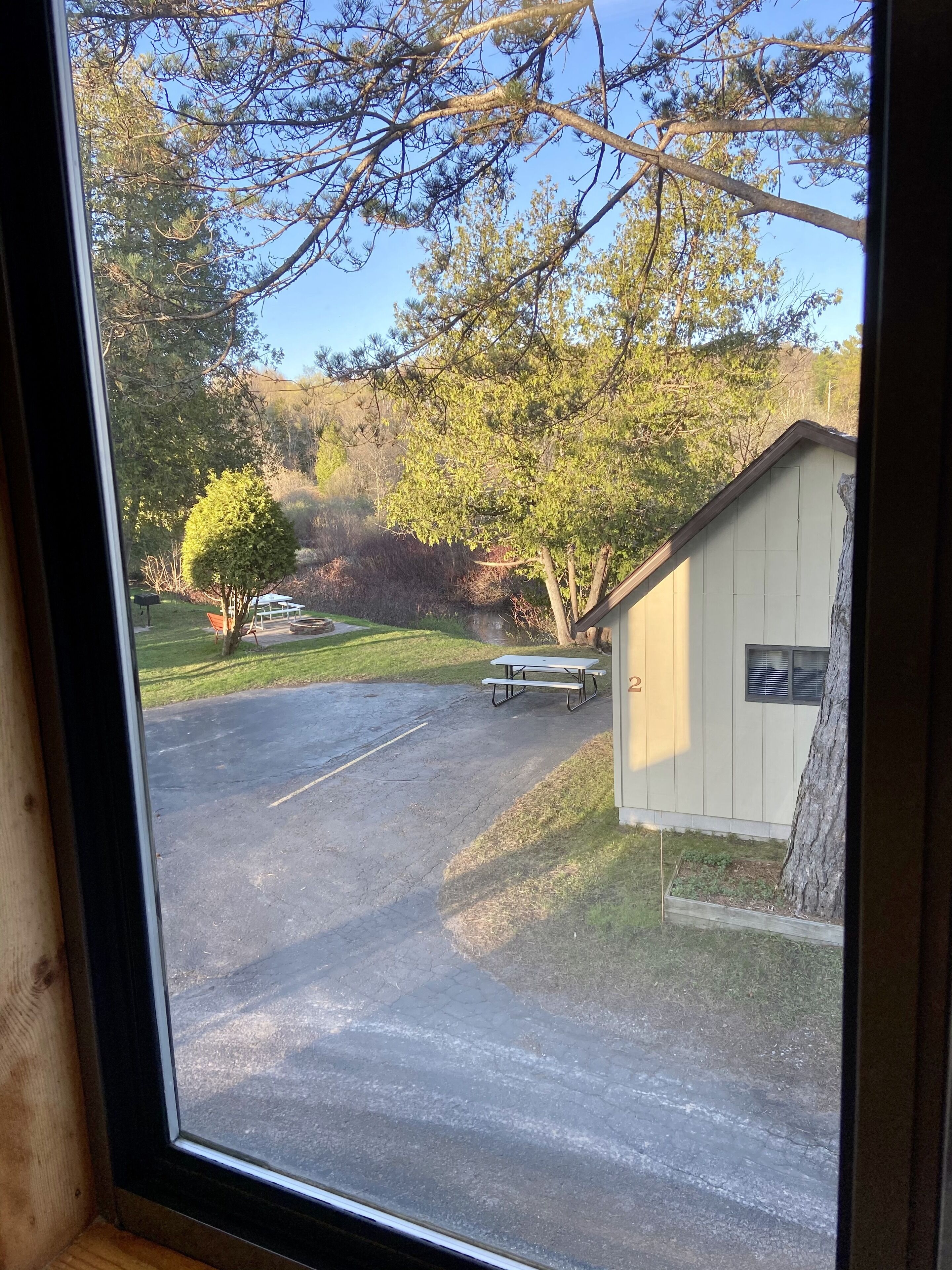 A view through a window of a parking area with a picnic table, a shed, and trees.