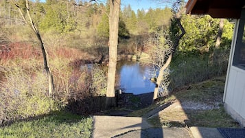 Cabin 6 | View from room