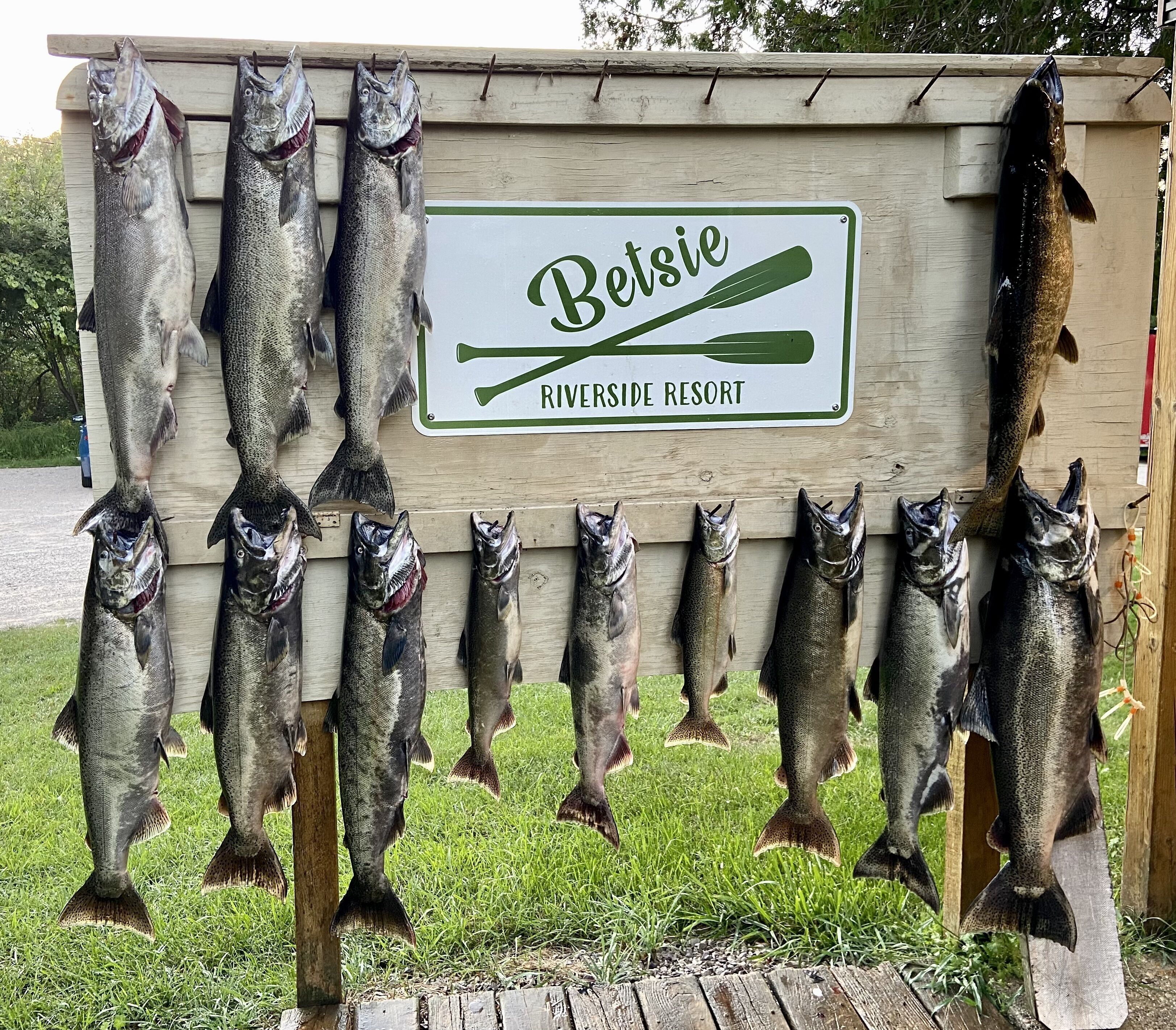 A wooden sign with the name 'Betsie Riverside Resort' and several fish displayed on a wooden structure.