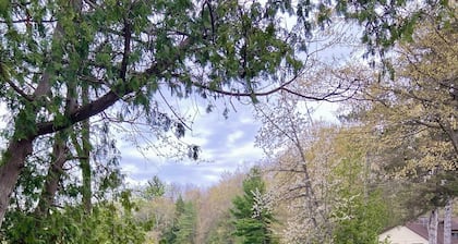 Betsie Riverside Resort