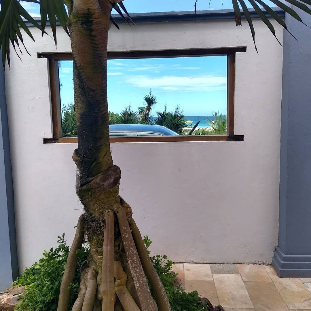 Photo - Pousada On Shore