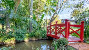 A red bridge over a small pond surrounded by lush greenery and palm trees.