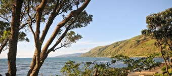 Kapiti Waves Beach Retreat