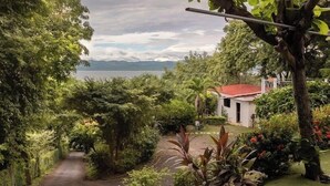 Un sendero lleva a una casa rodeada de abundante vegetación y un lago al fondo.