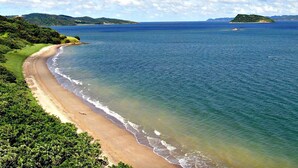 Una playa con aguas cristalinas, una orilla arenosa y abundante vegetación.
