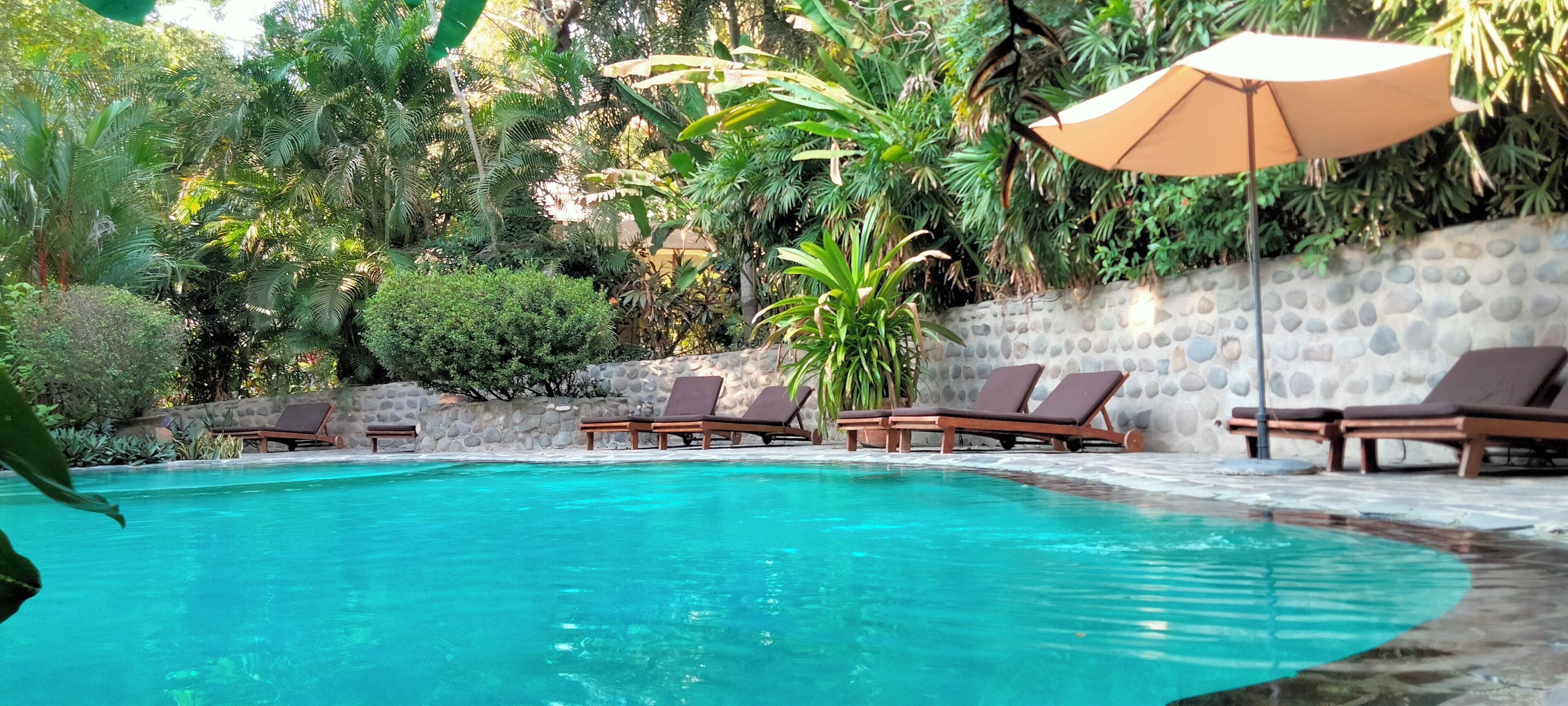 Outdoor pool, pool umbrellas, sun loungers