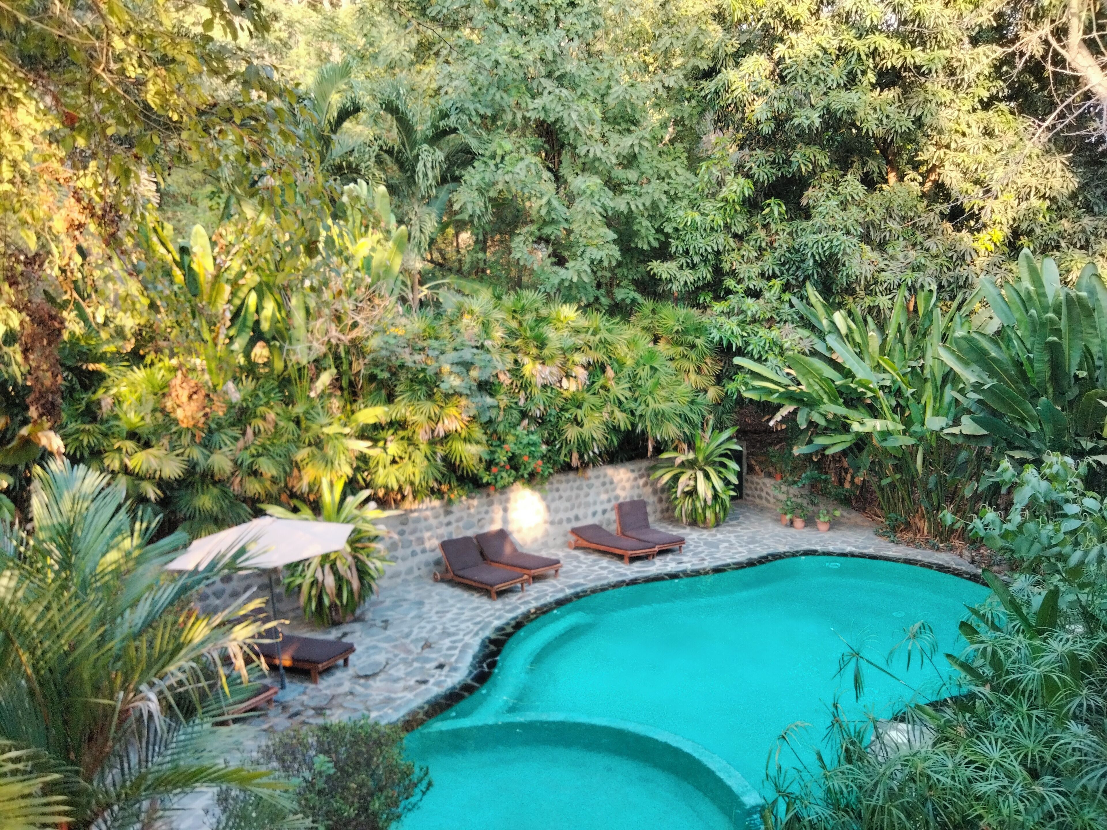 A pool surrounded by lush greenery and stone seating.