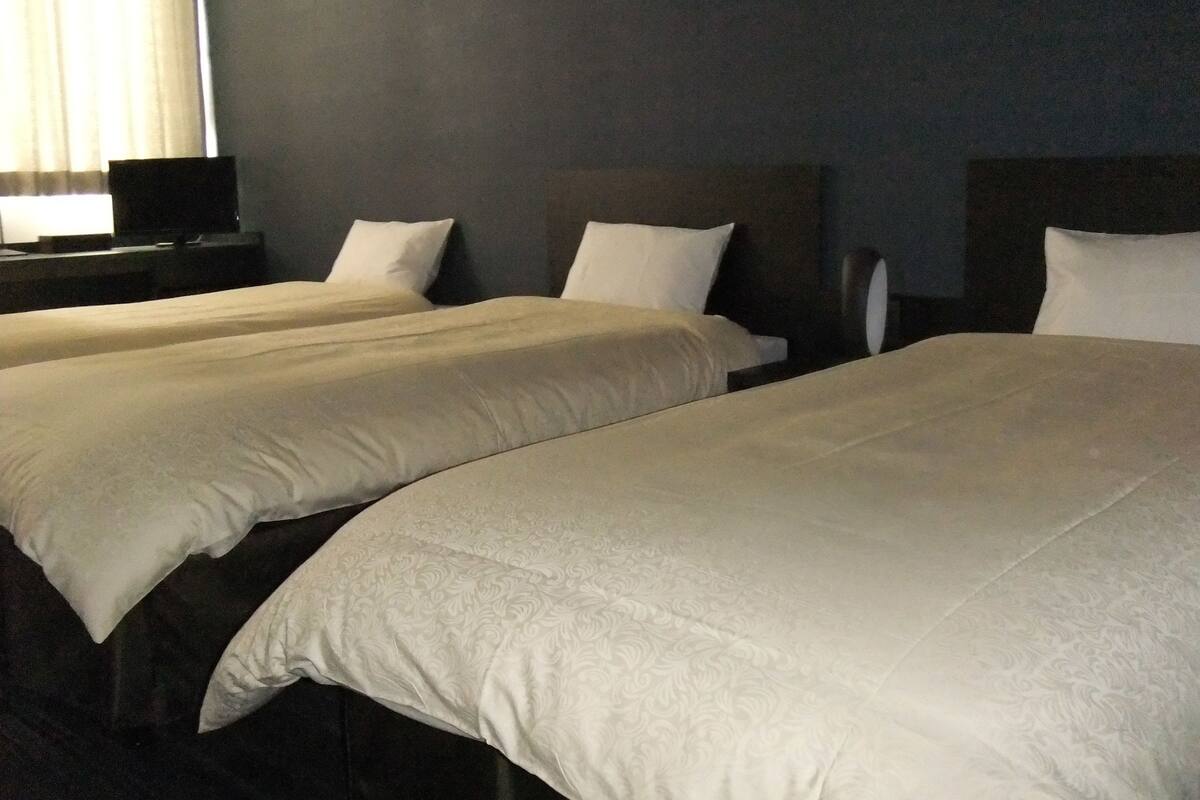 Twin Room | Blackout drapes, iron/ironing board (on request), WiFi (free)