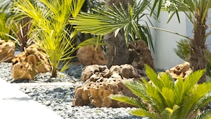 Un jardin aménagé avec des palmiers, des rochers et un mur blanc.