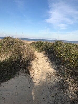 Beach nearby - Key Lime Condo, steps to the beach. Pet Friendly. (Tybee Island)