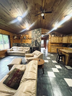 TV, DVD player, video library