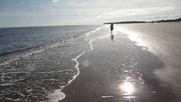 Playa en los alrededores, camastros y toallas de playa