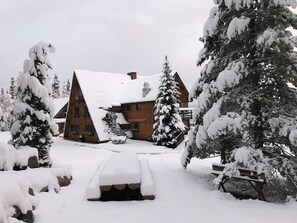 Un chalet enneigé, avec une façade en bois, entouré d’arbres chargés de neige.