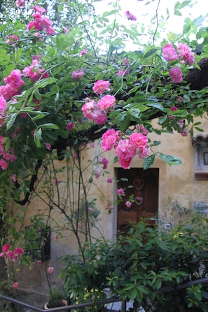 Dettaglio esterni