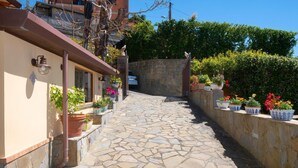 A stone-paved alleyway with potted plants on either side, leading to a building entrance.