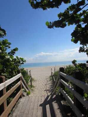 Am Strand, Sonnenschirme, Strandtücher