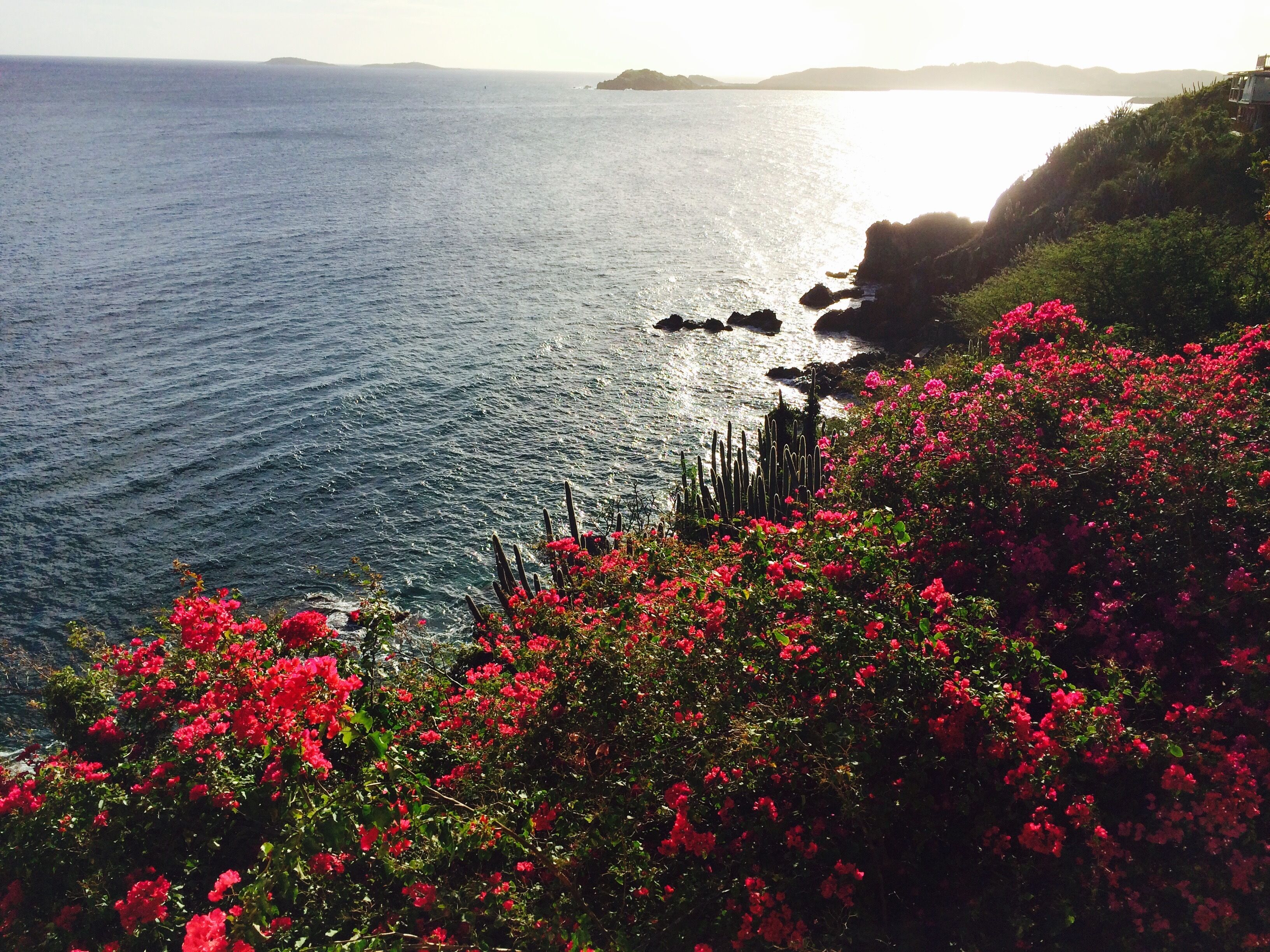 Un paysage côtier offrant une vue sur la mer et une côte rocheuse.