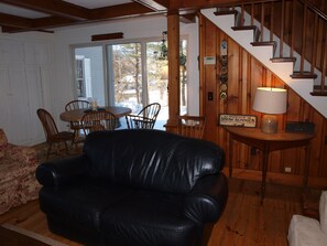 TV, fireplace, DVD player, video library
