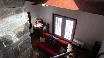 TV, fireplace, books, video library