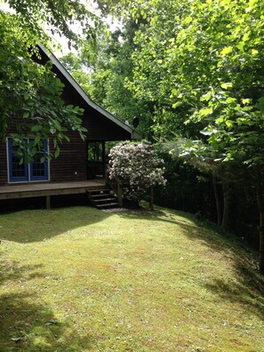 Exterior - Classic mountain cabin with beautiful stone fireplace in a rural setting (Plumtree)