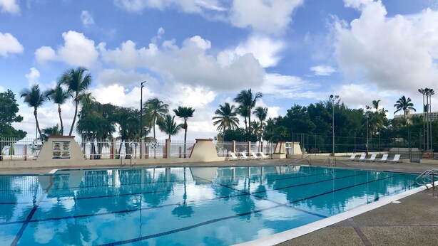 A swimming pool with clear blue water, surrounded by a white fence and palm trees.