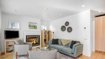 TV, fireplace, books