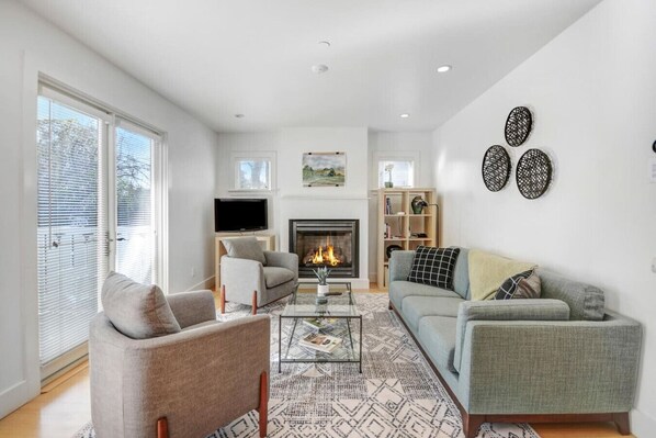 TV, fireplace, books