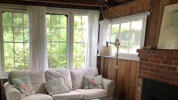 Televisión, chimenea y libros