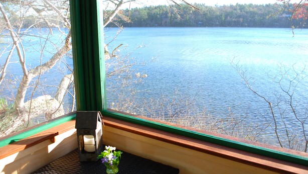 Ein Zimmer mit Seeblick, eine kleine Pflanze auf einem Fensterbrett und eine Holzbank.