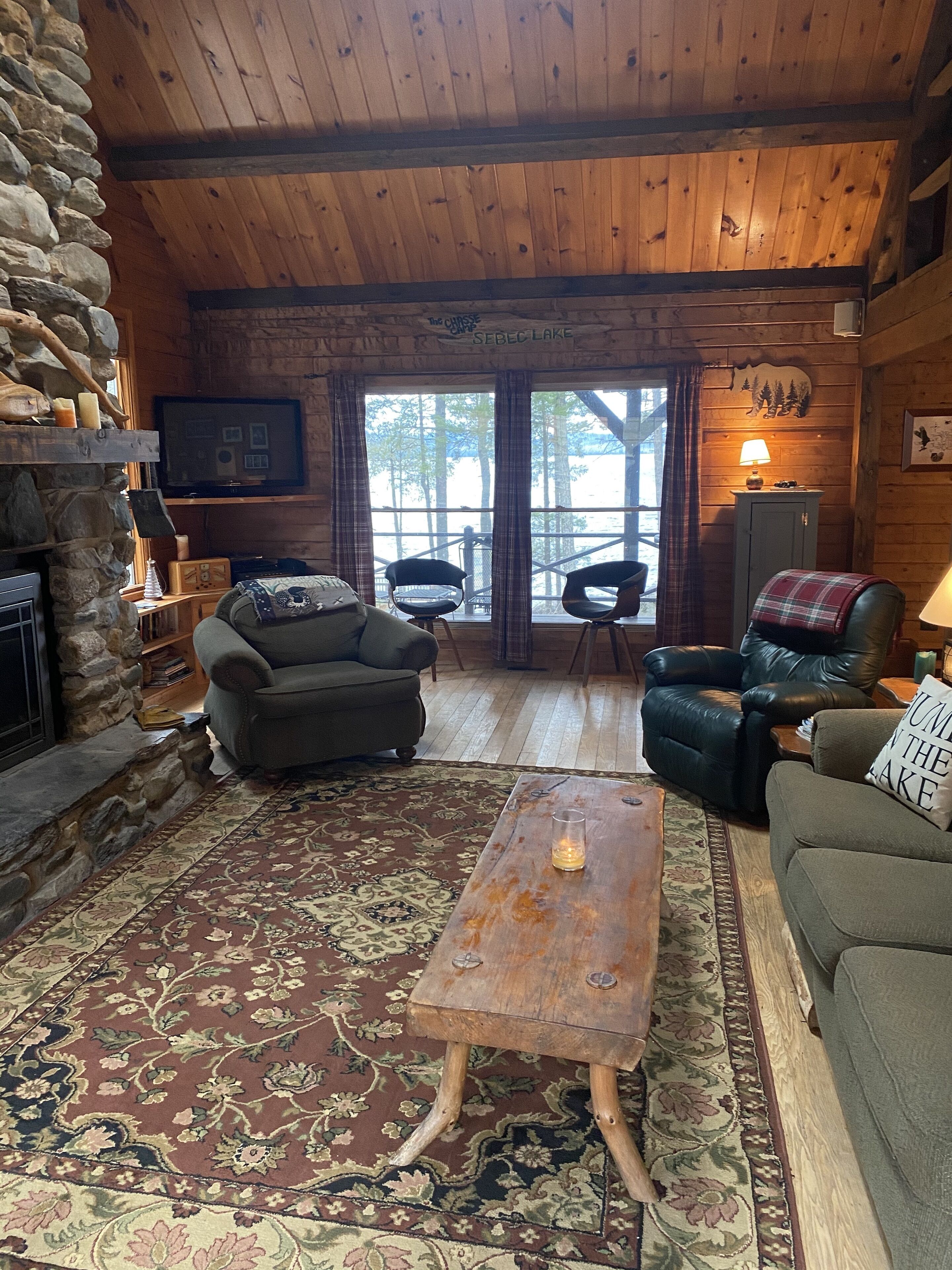 TV, fireplace, DVD player, books