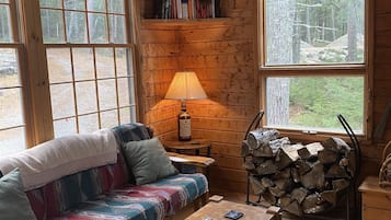 Téléviseur, foyer, lecteur de DVD, livres
