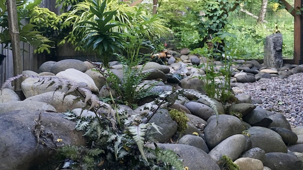 A garden with large rocks, ferns, and a wooden fence. - Gorgeous Pacific Northwest Private Lodge in Southeast Eugene (Eugene)